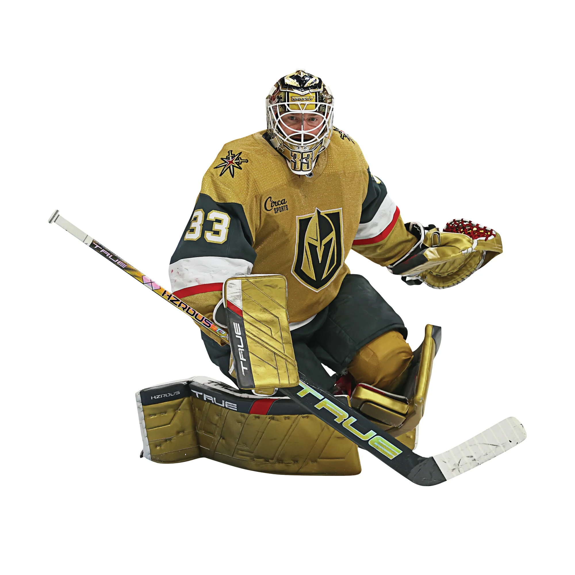 Adin Hill - RealBig Collection - Official NHL - Vegas Golden Knights - Reusable Vinyl Wall Decals - Image 5