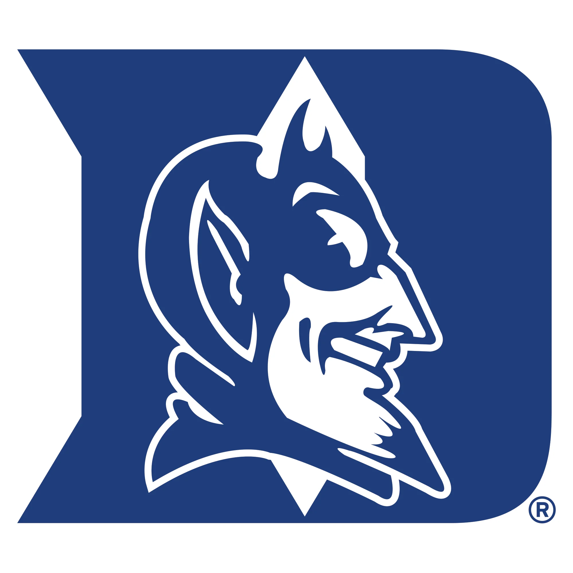 Duke Blue Devils - Logo - Outdoor Wall Decals - Official NCAA - Scratch Resistant Alumigraphics Smooth - Image 2