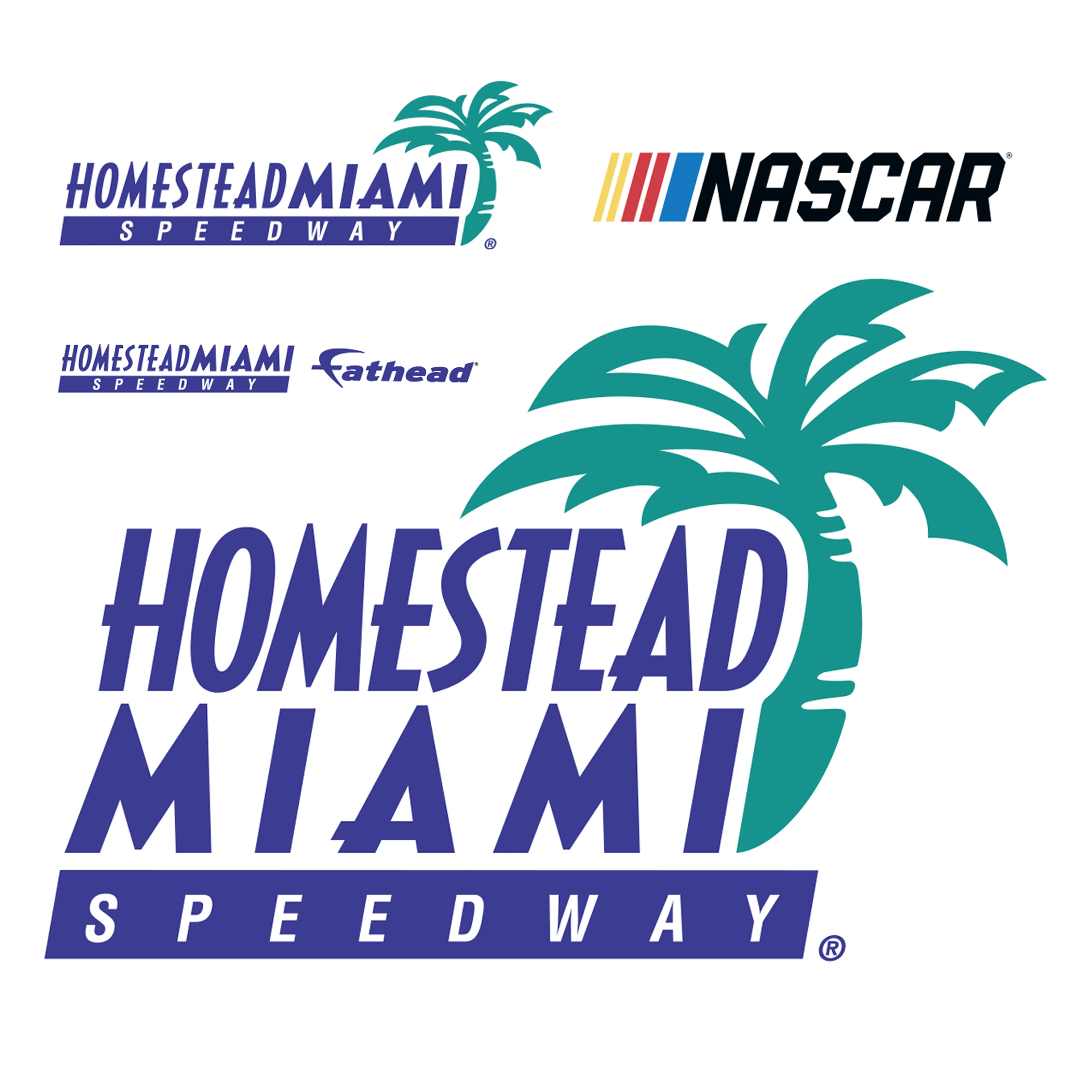 Homestead-Miami Speedway - RealBig Logo Collection - Official NASCAR - Reusable Vinyl Wall Decals - Image 4