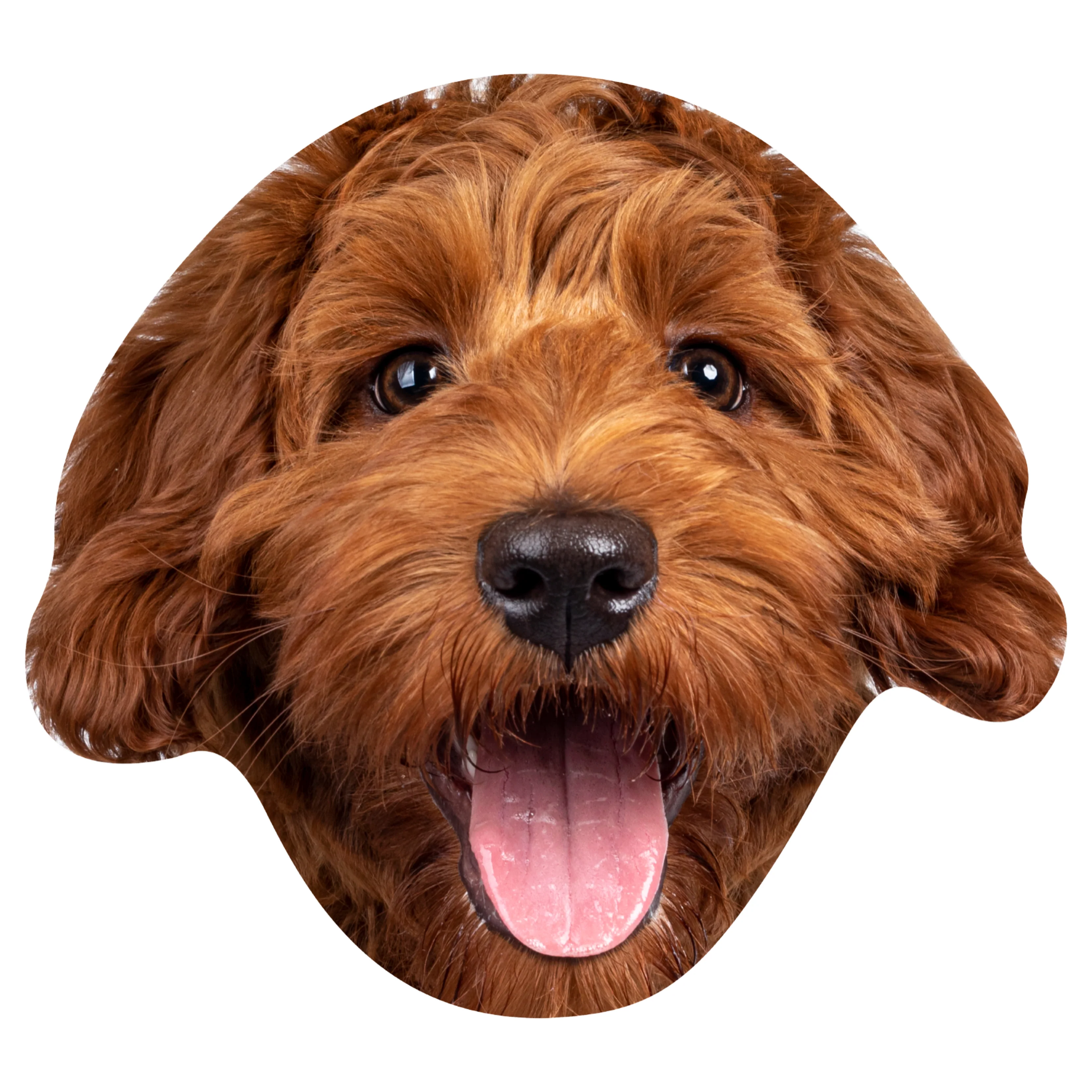 Animals: Cobberdog Foam Core Cutout - Big Head - Image 2