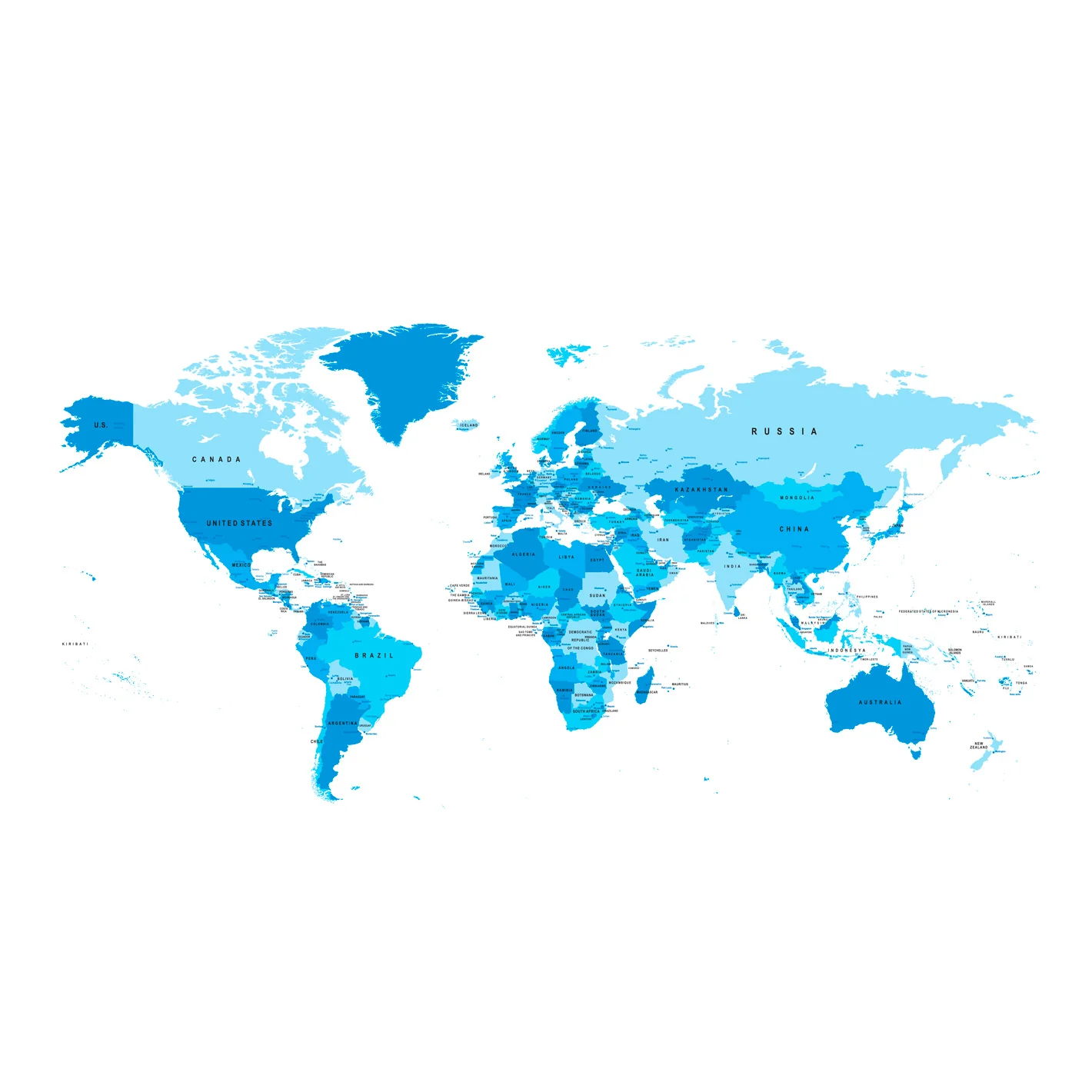 World Maps: Blue Complex Map Mural - Removable Wall Adhesive Decal