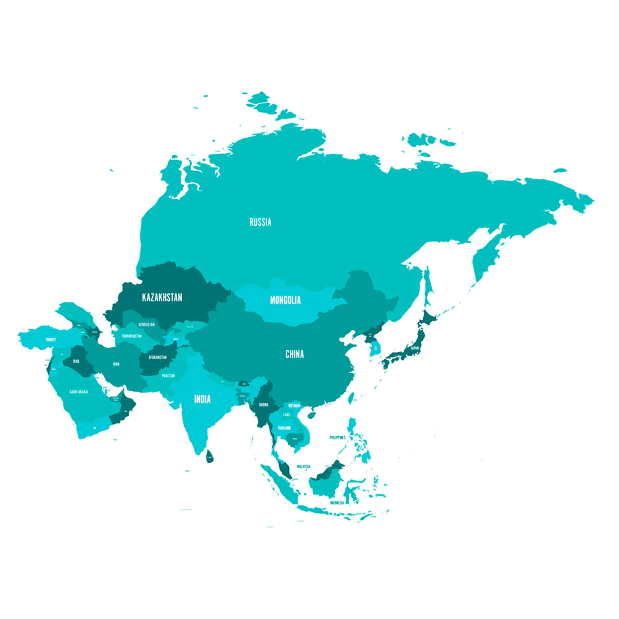 Maps: Asia Neon Mural        -   Removable Wall   Adhesive Decal - Image 5