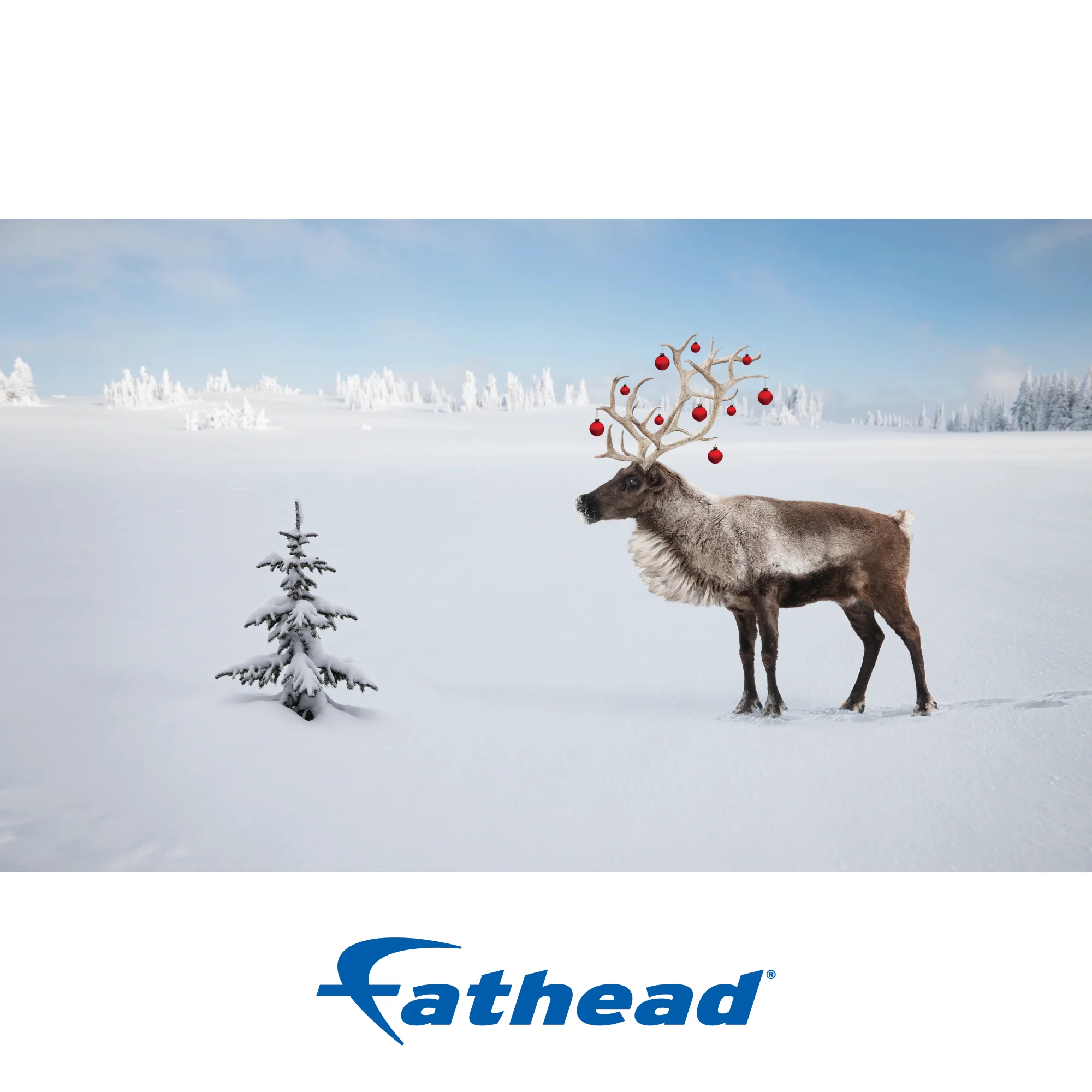 Christmas: Small Tree Poster - Removable Adhesive Decal - Image 2