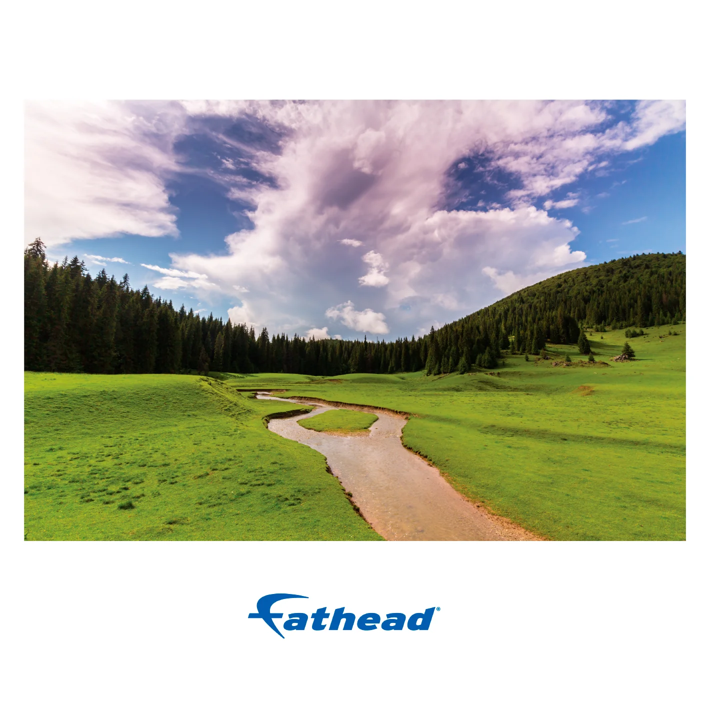 Generic Scenery:  All Green Poster        -   Removable     Adhesive Decal - Image 2