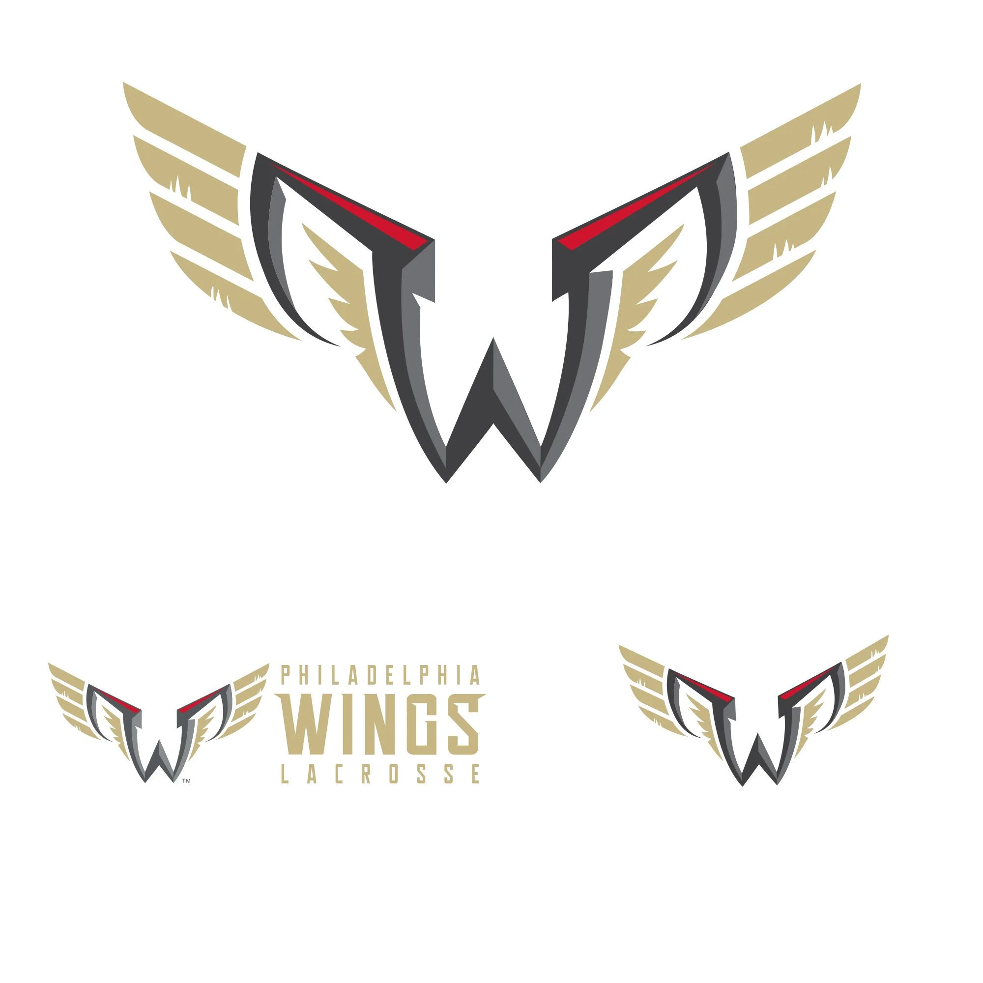 Philadelphia Wings:   Logo        - Officially Licensed NLL Removable     Adhesive Decal - Image 3