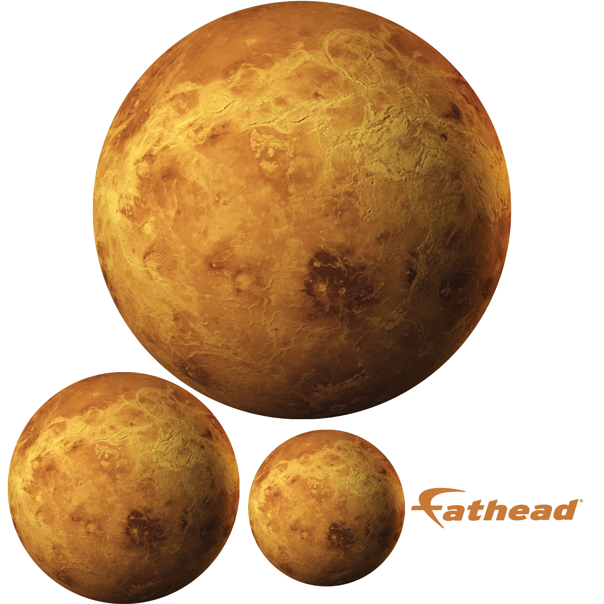 Planets: Venus RealBig - Removable Adhesive Decal - Image 4